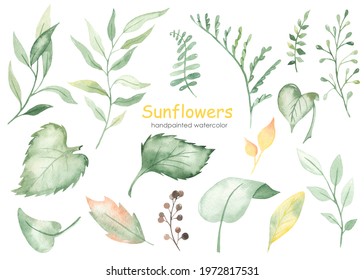 Sunflower Leaves, Branches, Berries, Foliage, Leaves. Watercolor Hand Drawn Clipart