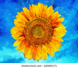 Sunflower on vibrant blue background. Sunflower Van Gogh style imitation. Digital imitation of post impressionism oil painting.