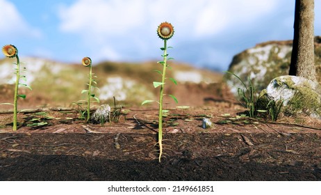 Sunflower plant with root system 3d rendered illustration 