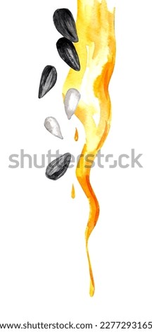 Sunflower seeds and oil splashes. Watercolor hand drawn illustration isolated on white background