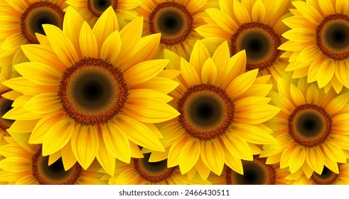 Sunflowers background, many yellow flowers pattern wallpaper, summer flowers illustration.