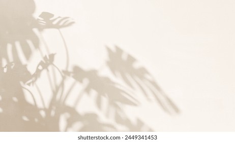 Sunlight cast leaf foliage shadow of monstera tree plant on blank cream concrete wall for modern, luxury organic beauty, cosmetic, skincare, body care product background, exterior design decoration 3D
