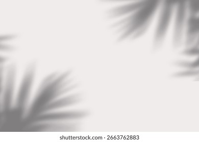 Sunlight Casting Leaf Shadows on White Surface, Minimal Botanical Shadow Overlay for Design