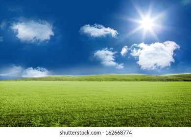 Sunny Green Landscape Stock Illustration 162668774 | Shutterstock