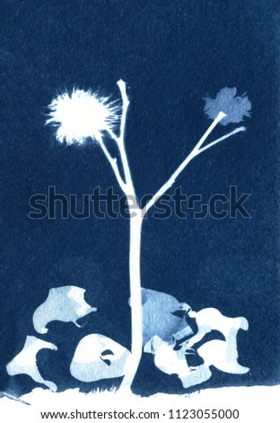 sun-printing or cyanotype process. Some leafs like lavender, petals, flowers, fern, lying on a watercolour paper covered with a special photosensitive liquid.