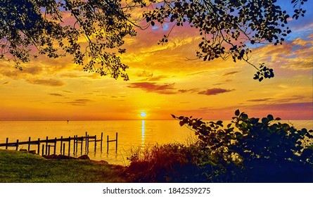 Sunrise, Chesapeake Bay, Fishing Pier And Foliage