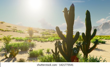 3,022 Cactus Wind Images, Stock Photos & Vectors | Shutterstock