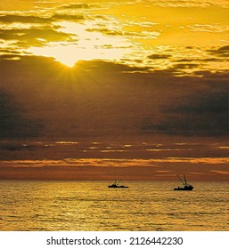 Sunrise And Oyster Boats, Chesapeake Bay, Illustration 