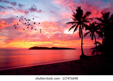 sunset with birds at rebak island, Langkawi, Malaysia - Powered by Shutterstock