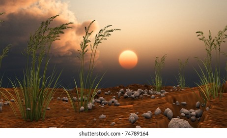 sunset landscape