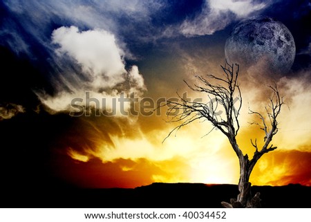 Similar – Light and shadow Tree