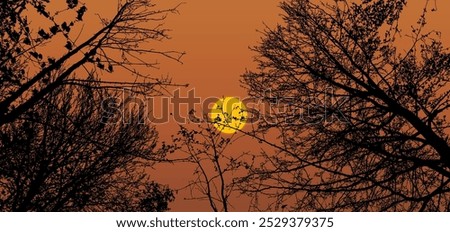 Similar – Image, Stock Photo silhouettes before glowing sun