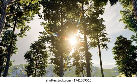 Sunshine through trees 3D Rendering