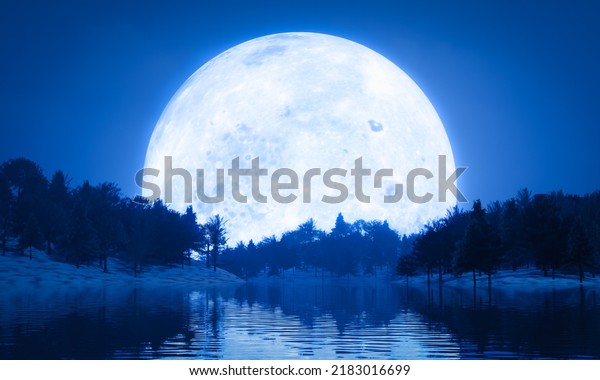 Super Full\
moon blue light. Lake, pine forest, snowy ground, shadow of the\
moon reflected in the water. Fantasy nature image of the rising\
night. There is a little fog. 3D\
rendering
