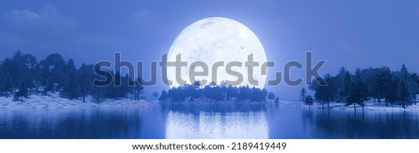 Super\
Full moon blue light. Lake, pine forest, snowy ground, the shadow\
of the moon reflected in the water. Fantasy nature image of the\
rising night. There is a little fog. 3D\
rendering