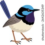 Superb Fairy-wren (Malurus cyaneus) - Original Clean-Line Clipart