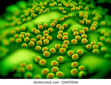 Superbug Or Staphylococcus Aureus (MRSA) Bacteria