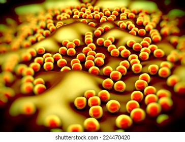 Superbug Or Staphylococcus Aureus (MRSA) Bacteria