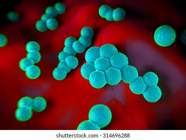 Superbug Or Staphylococcus Aureus (MRSA) Bacteria