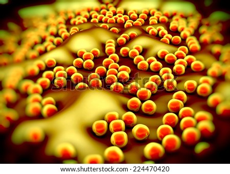 superbug or Staphylococcus aureus (MRSA) bacteria
