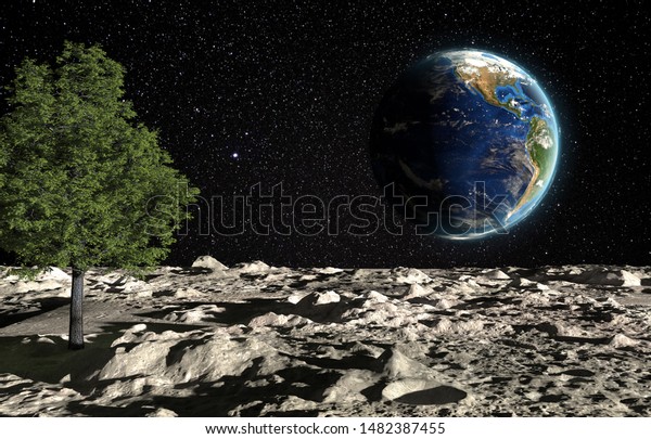 The surface of the moon with a green tree and the
planet Earth on a background of the starry sky. Creative conceptual
3D rendering illustration. Fantasy about the colonization and
gardening of planets