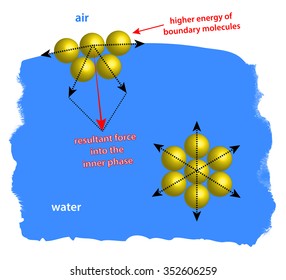 Surface Tension Demonstrated By Intermolecular Interaction