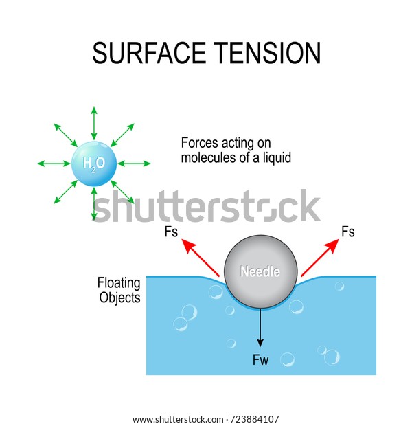 表面張力 液体の分子や浮動物体に作用する力 のイラスト素材