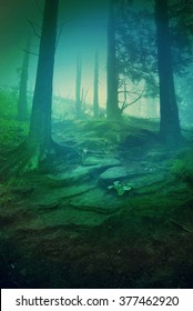 Surreal forest scene: illustration