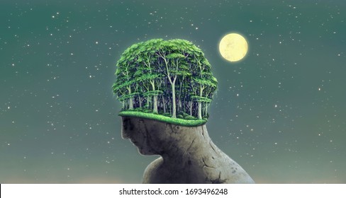 Surreal nature and dream concept art, imagination scene broken human with forest head and starry night sky background, painting illustration, artwork