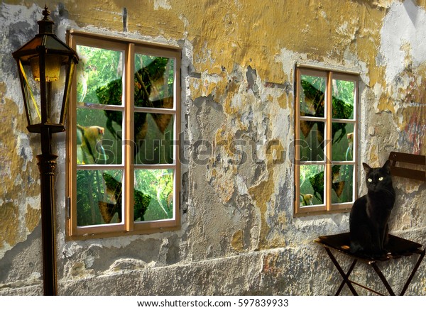 Surreal Photo Montage Fish Aquarium Behind Stock