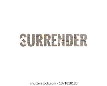 Surrender Text With White Background