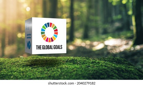 Sustainable Development Climate Action in Moss Forrest Background 17 Global Goals Concept Cube Design_SDGs Logo. 3D illustration 