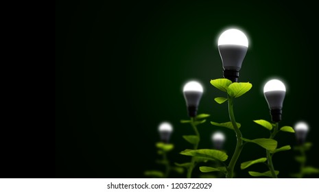 Sustainable Or Renewable Green Energy Concept Illustrated With A Tree Seedling Grow And Lit A Led Bulb As Fruit. Mixed Media. 3d Rendering And Photo.