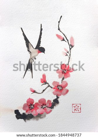 The swallow is circling over the Sakura branch. Traditional Japanese ink painting sumi-e on vintage paper. Illustration.