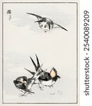 Swallow illustration. Pictorial Monograph of Birds (1885) by Numata Kashu (1838-1901). Vintage Japanese swallow bird illustration, art drawing print, old Japanese bird illustration, drawing.