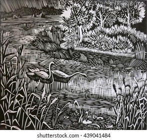 Swans Float In The Lake Forest Linocut. Swans Birds On The Water