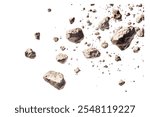 swarm of asteroids isolated on white background