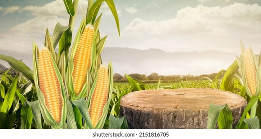 Sweet Corn Seeds And Green Leaves At Agriculture Corn Field. 3D Illustration, Of Free Space For Your Texts And Branding.