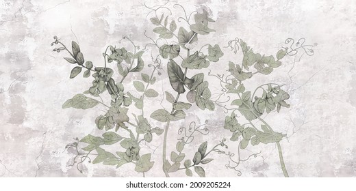 Sweet Peas. Graphic White Wildflowers Painted On The Abstract Grunge Wall. Floral Background In Loft, Modern Style. Design For Wall Mural, Card, Postcard, Wallpaper, Photo Wallpaper.