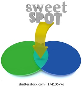 Sweet Spot Venn Diagram Ideal Target Market Area