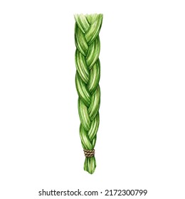 Sweetgrass braid watercolor illustration. Hand drawn aromatic herb for spiritual practice, healing, relax. Sweet grass braid for smudging. Aromatic plant. White background