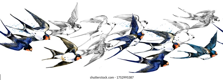 Swift bird seamless pattern. border with swallow watercolor illustration. 