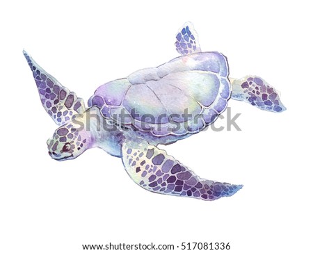 swimming turtle isolated hand painted watercolor illustration