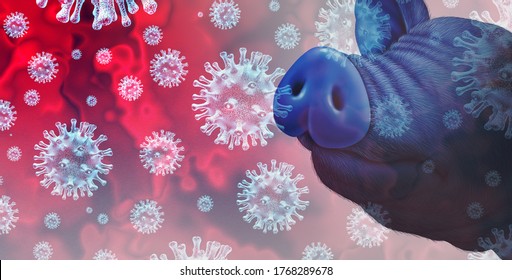 Swine Virus And G4 Flu From Infected Livestock As Pigs And Hogs As A Health Risk For Global Infection Outbreak And Disease Concept Or Agricultural Public Safety Symbol With 3D Illustration Elements.