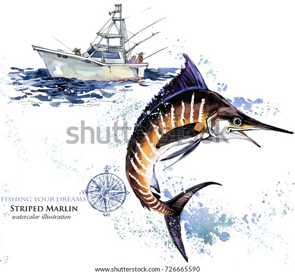 剣魚 水彩マーリンのイラスト 大西洋釣り のイラスト素材