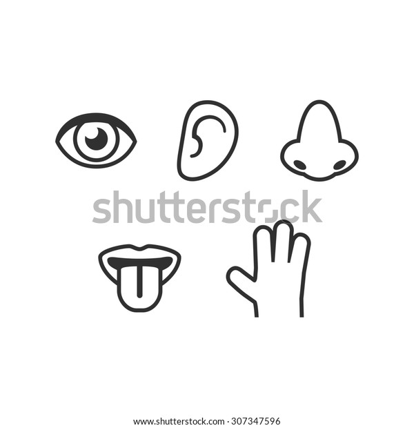 Symbols Five Human Senses Sight Smell Stock Illustration 307347596