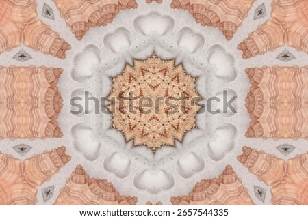 A symmetrical and kaleidoscopic pattern made from seashells and sand. Perfect for backgrounds, textures, or designs inspired by the beach and ocean.
