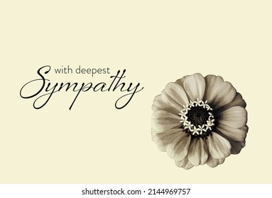 571 Deep sympathy condolence Images, Stock Photos & Vectors | Shutterstock