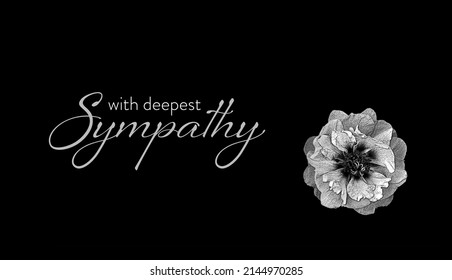 571 Deep sympathy condolence Images, Stock Photos & Vectors | Shutterstock