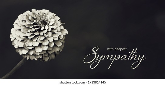 Sympathy Card With Zinnia Flower Illustration